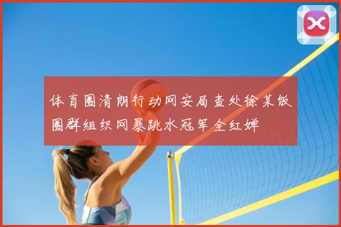 体育圈清朗行动网安局查处徐某饭圈群组织网暴跳水冠军全红婵