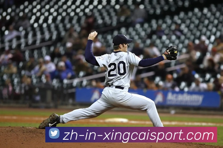 杏彩体育服务体系